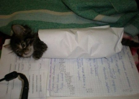 ����� �� �����! ;)