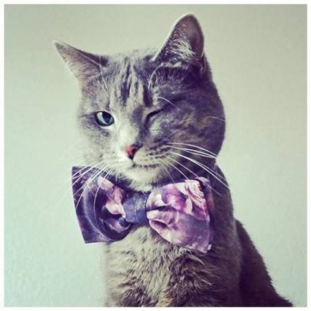 ������� �������� ������� ������� � ������ ���������