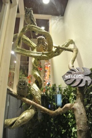 ������� ���� � ������