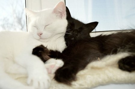 �������� ��� ���! ;)