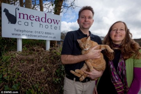 � �������� ������� ������ � ������ ������� �����