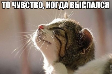 ��������.�� ������ ��� ���������� ��������! :)