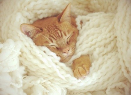 �������� �������� :)