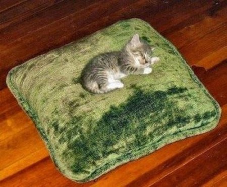 ��������� �� �������� :)