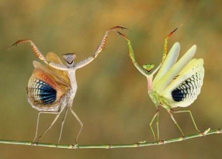 ������� �����! :)