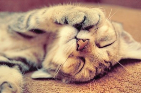 ��������� ���! :)