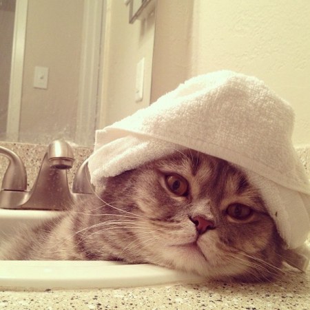 ������ � ���� (����� 3)