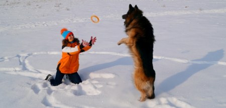 ������ ���� �������� - ������ :)