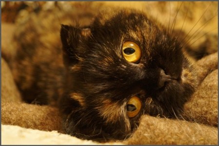 ���� ��������� ������!!!