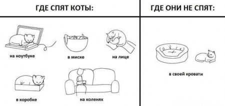 ��� ���� ���� :)