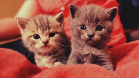 �� ��� ����� ������ ������?