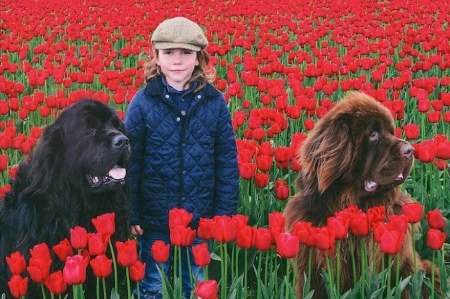 ������ ������ ���������� �������� � �������� �������� ����� (12 ����)