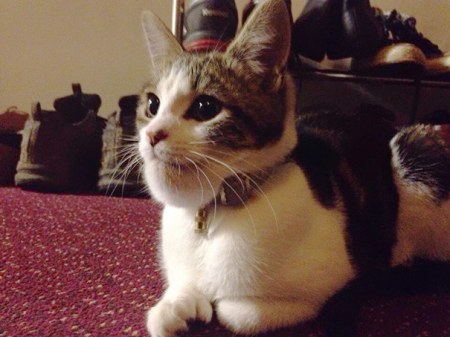 ������ ����! ���� ����� ������� ����� (20 ����)