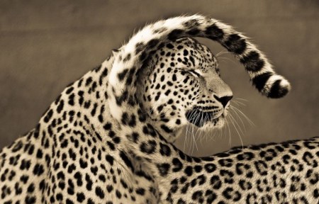 �������� � ������ ������� ����� (12 ����)