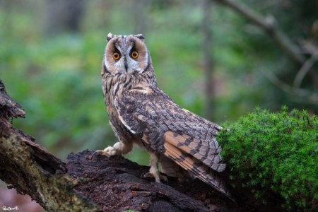 �������� ������ ��������� �� ����� ��� (28 ����)