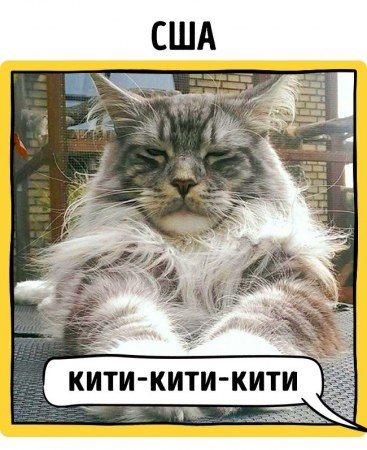 ��� ��������� � ���� ������� � ������ ������� (17 ����)