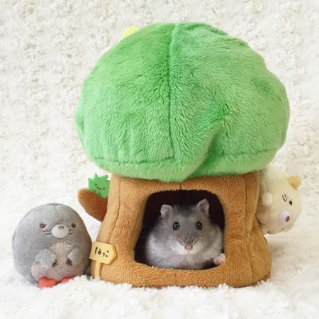 �������� ������� ����� � ����� �������� ������ ��������-������������� (20 ����)