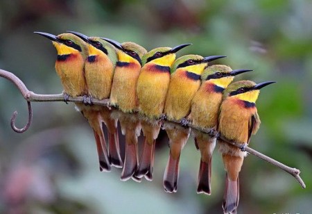 ��������� ������: 20 ���������� ����, ������� ����� �����, ��� ����� "��������! ������!"