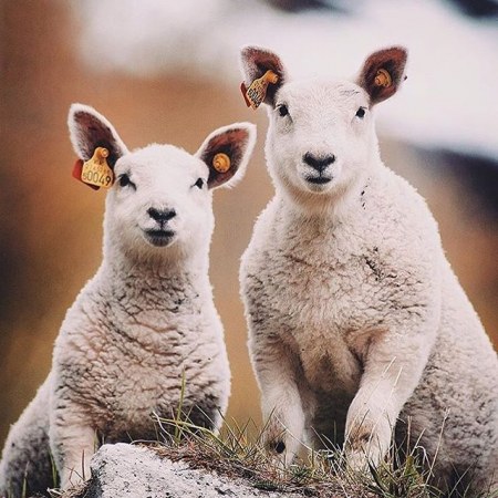 ������ ������������� ������ � ����, � �� ��� ��� ��������� ��� ���� ��������������� (30 ������)