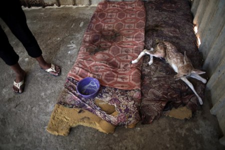 � ���� ������� ����� ������ ������� � ���� (21 ����)